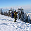Rigi Edelweiss (Zentralschweiz) -- Schnee bis ins Flachland und Temperatur minus 10 Grad.